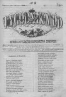 Tygodnik Mód i Powieści. Pismo ilustrowane dla kobiet 1862 II, No 15