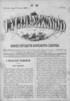 Tygodnik Mód i Powieści. Pismo ilustrowane dla kobiet 1862 III, No 38