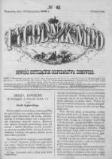 Tygodnik Mód i Powieści. Pismo ilustrowane dla kobiet 1862 IV, No 42