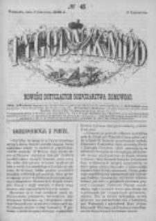 Tygodnik Mód i Powieści. Pismo ilustrowane dla kobiet 1862 IV, No 45