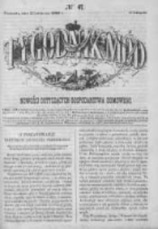 Tygodnik Mód i Powieści. Pismo ilustrowane dla kobiet 1862 IV, No 47