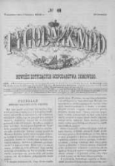 Tygodnik Mód i Powieści. Pismo ilustrowane dla kobiet 1862 IV, No 49