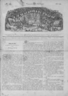 Tygodnik Mód i Powieści. Pismo ilustrowane dla kobiet 1868 III, No 35