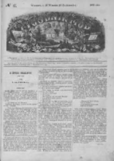 Tygodnik Mód i Powieści. Pismo ilustrowane dla kobiet 1868 III, No 41