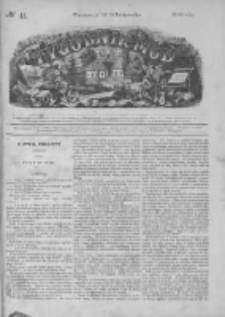 Tygodnik Mód i Powieści. Pismo ilustrowane dla kobiet 1868 IV, No 44