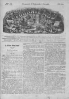 Tygodnik Mód i Powieści. Pismo ilustrowane dla kobiet 1868 IV, No 45