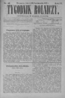 Tygodnik Rolniczy. Pismo wszelkim gałęziom przemysłu rolnego poświęcone 1875 IV, Nr 42