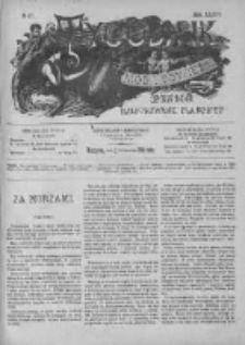 Tygodnik Mód i Powieści. Pismo ilustrowane dla kobiet z dodatkiem Ubiory i Roboty 1894 IV, No 42