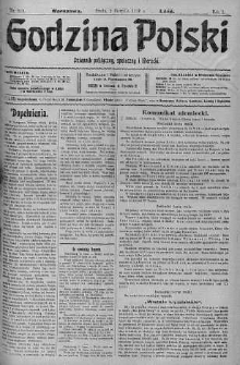 Godzina Polski : dziennik polityczny, społeczny i literacki 2 sierpień 1916 nr 213