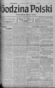Godzina Polski : dziennik polityczny, społeczny i literacki 12 sierpień 1916 nr 223