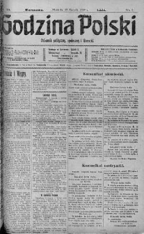 Godzina Polski : dziennik polityczny, społeczny i literacki 13 sierpień 1916 nr 224