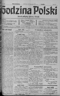 Godzina Polski : dziennik polityczny, społeczny i literacki 19 sierpień 1916 nr 230