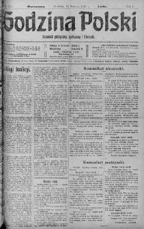 Godzina Polski : dziennik polityczny, społeczny i literacki 20 sierpień 1916 nr 231