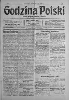 Godzina Polski : dziennik polityczny, społeczny i literacki 23 październik 1916 nr 295