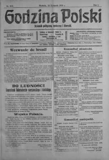Godzina Polski : dziennik polityczny, społeczny i literacki 12 listopad 1916 nr 315