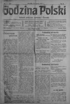 Godzina Polski : dziennik polityczny, społeczny i literacki 24 czerwiec 1917 nr 170