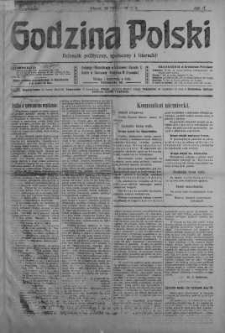 Godzina Polski : dziennik polityczny, społeczny i literacki 29 czerwiec 1917 nr 175