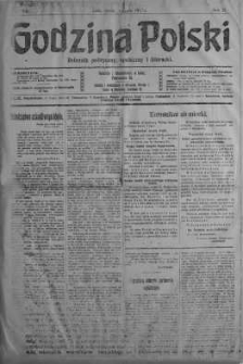 Godzina Polski : dziennik polityczny, społeczny i literacki 4 lipiec 1917 nr 180