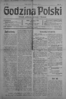 Godzina Polski : dziennik polityczny, społeczny i literacki 1 sierpień 1917 nr 208