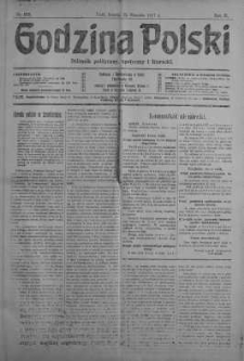 Godzina Polski : dziennik polityczny, społeczny i literacki 25 sierpień 1917 nr 232