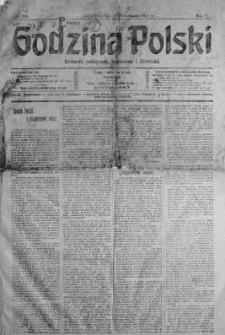 Godzina Polski : dziennik polityczny, społeczny i literacki 28 październik 1917 nr 269