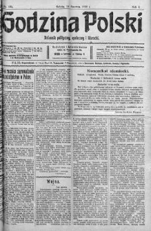 Godzina Polski : dziennik polityczny, społeczny i literacki 10 czerwiec 1916 nr 161