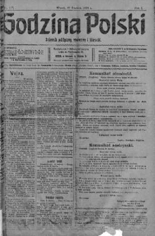 Godzina Polski : dziennik polityczny, społeczny i literacki 27 czerwiec 1916 nr 177
