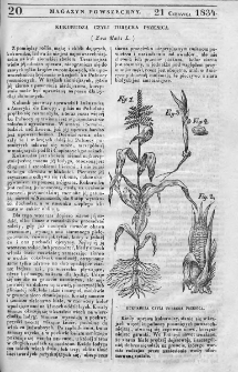 Magazyn Powszechny : dziennik użytecznych wiadomości. 1834, nr 20