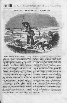 Magazyn Powszechny : dziennik użytecznych wiadomości. 1838, nr 19