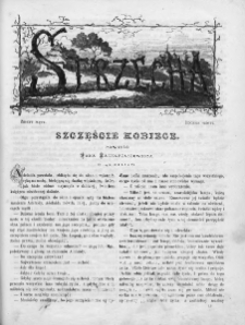 Strzecha : pismo ilustrowane dla rodzin polskich. 1873. Zesz. 5