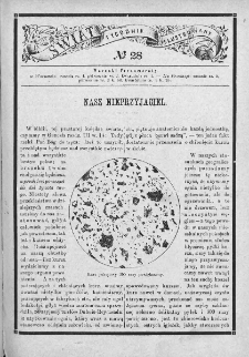Świat : dwutygodnik illustrowany dla młodzieży i dzieci. 1880. Nr 28