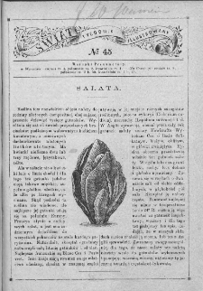 Świat : dwutygodnik illustrowany dla młodzieży i dzieci. 1880. Nr 45