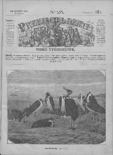 Przyjaciel Dzieci : [pismo tygodniowe nauce i rozrywce młodzieży poświęcone]. T. 22. 1882, nr 25